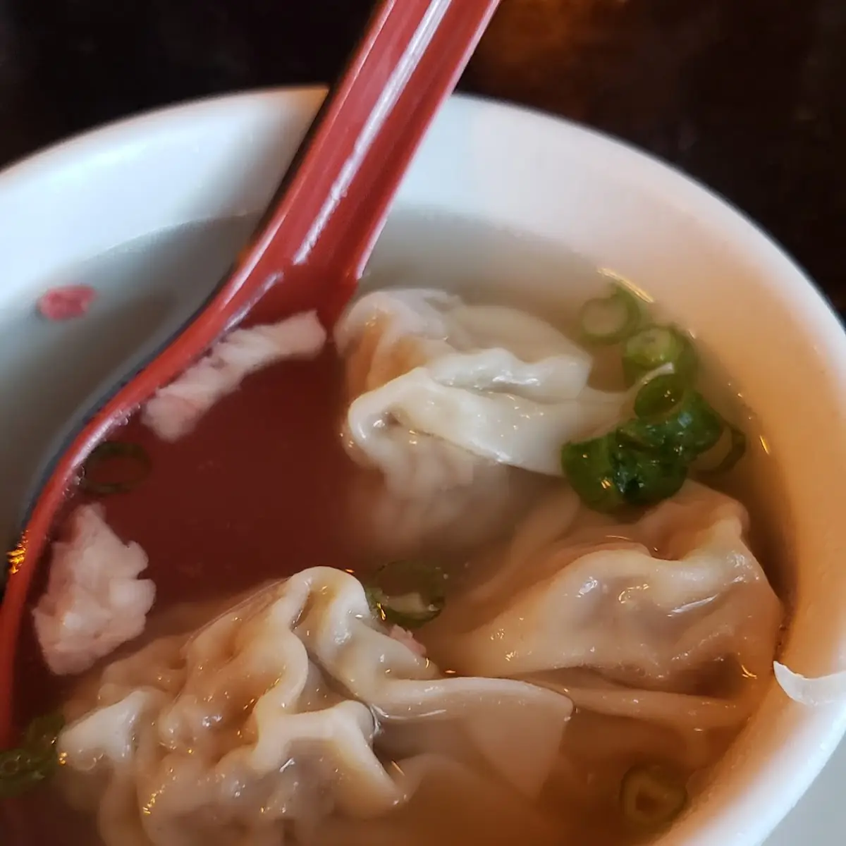 Wonton Soup