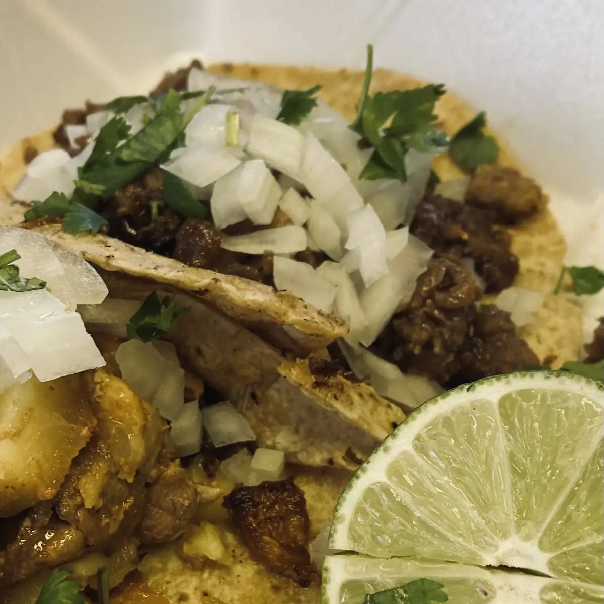 Tacos de Birria