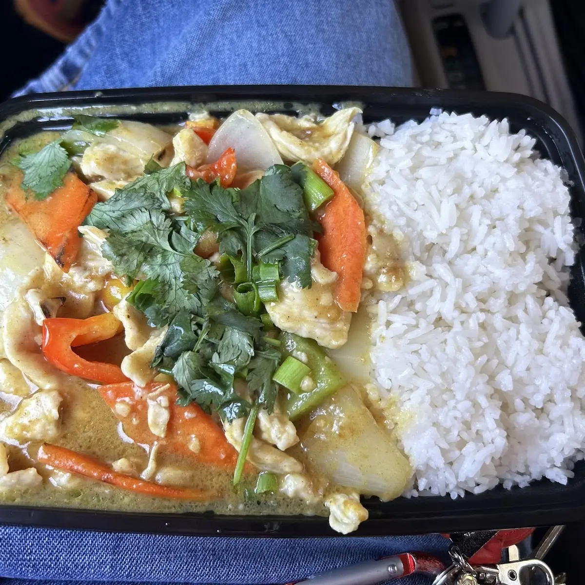 Coconut Curry Chicken over Rice