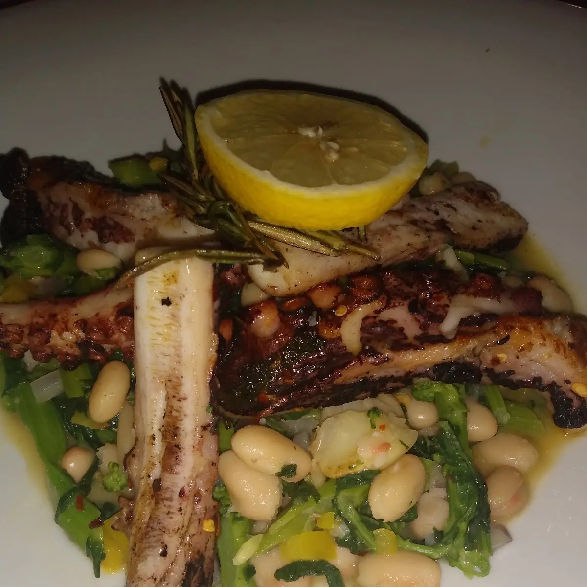 Grilled Octopus over Broccoli Rabe