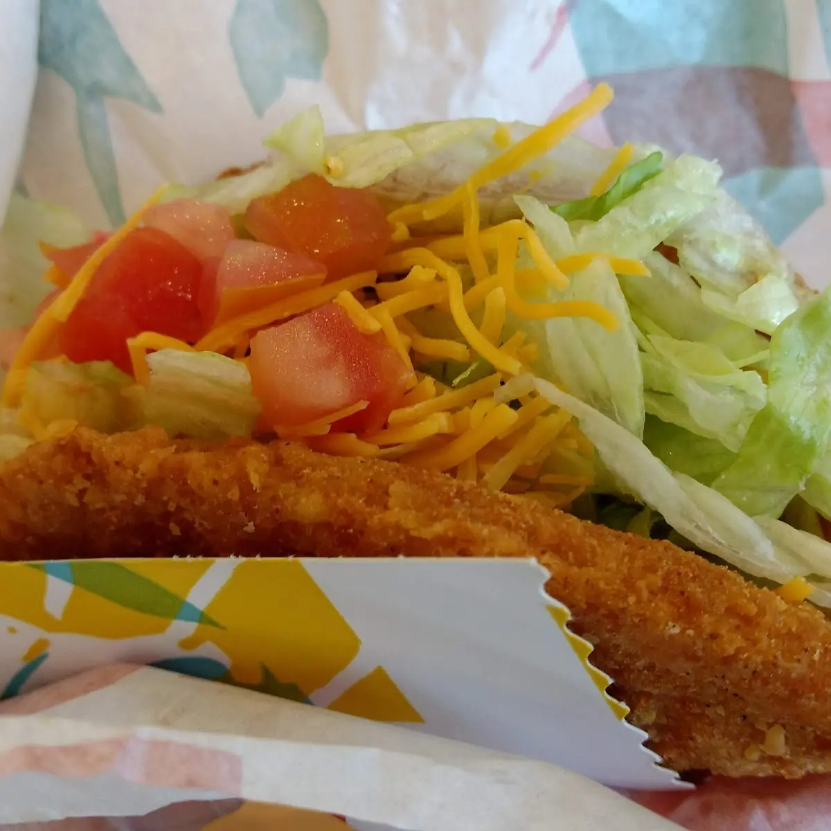Wild Chicken Chalupa