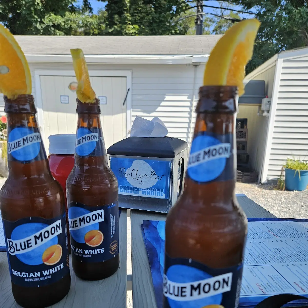 Beer Blue Moon Belgian White