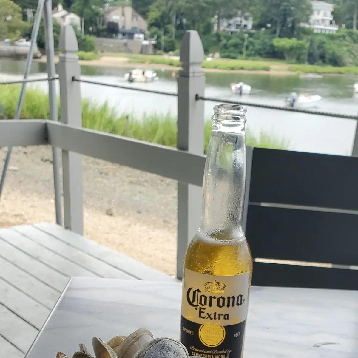 Steamed Clams