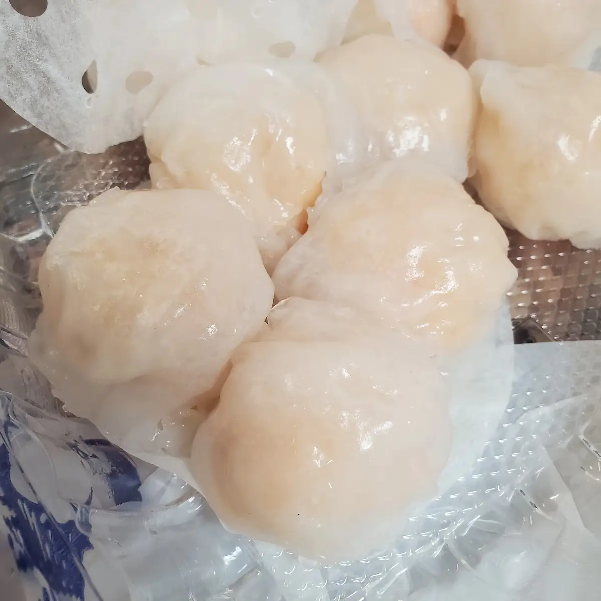 Steamed Dumplings