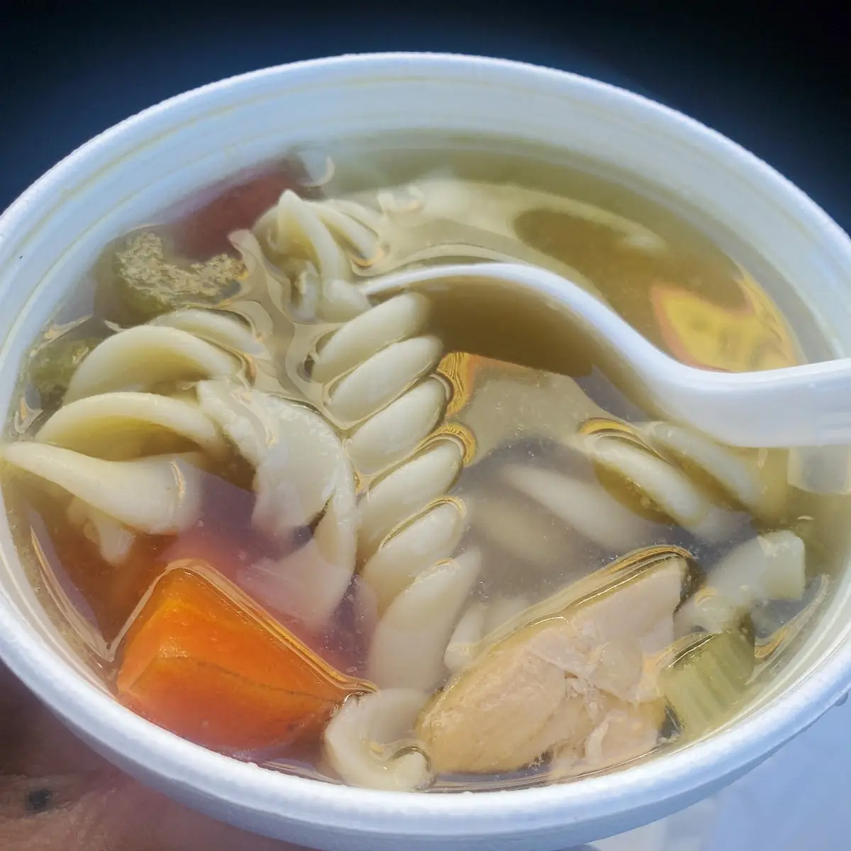 Chicken Soup