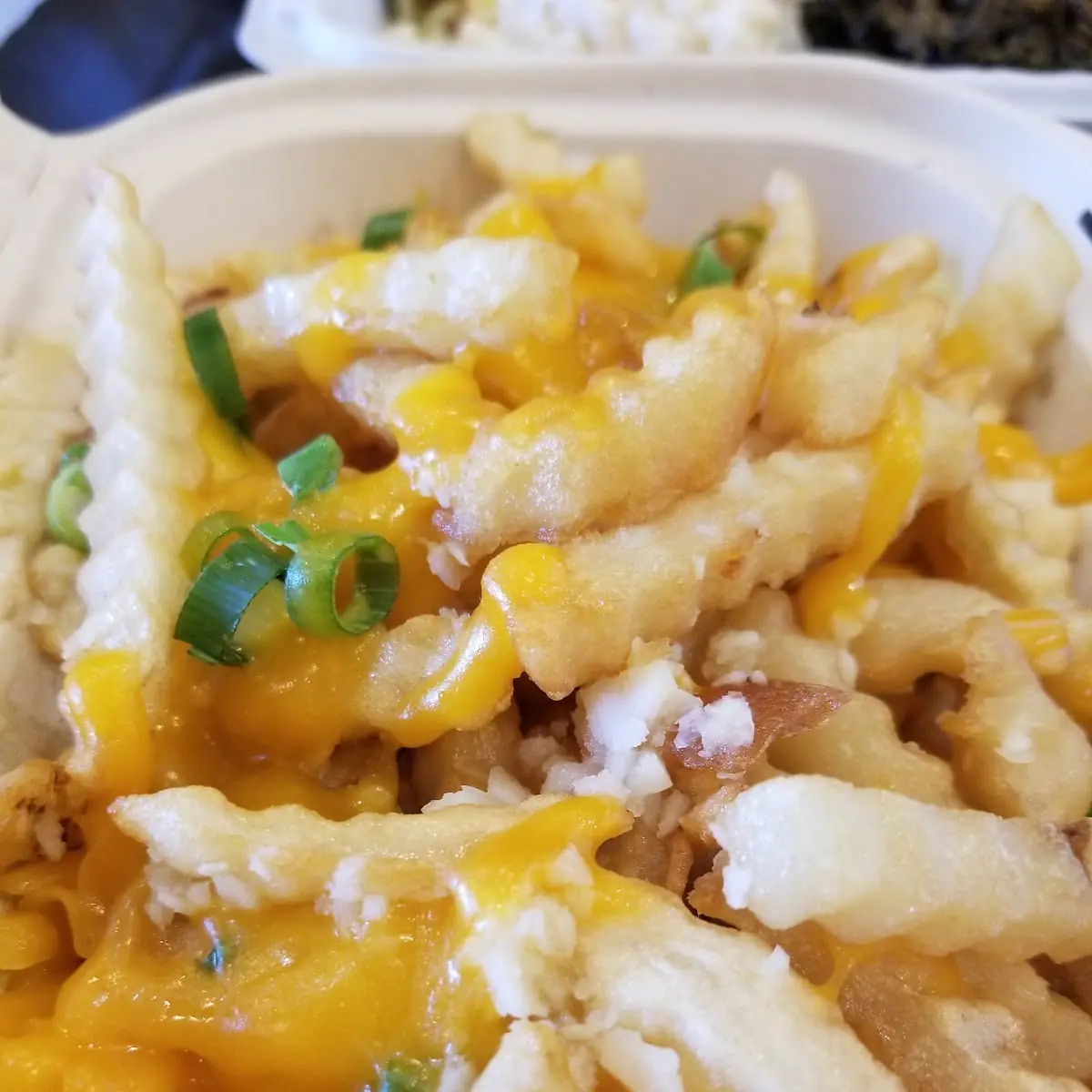 Garlic Cheese Fries