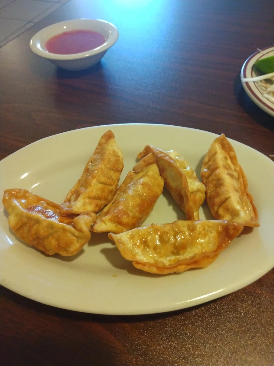 Fried Dumplings