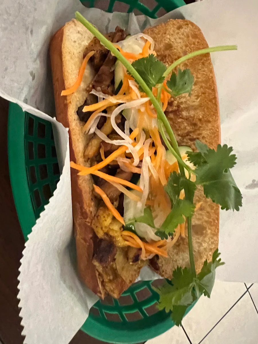 Vietnamese Bread Banh MI