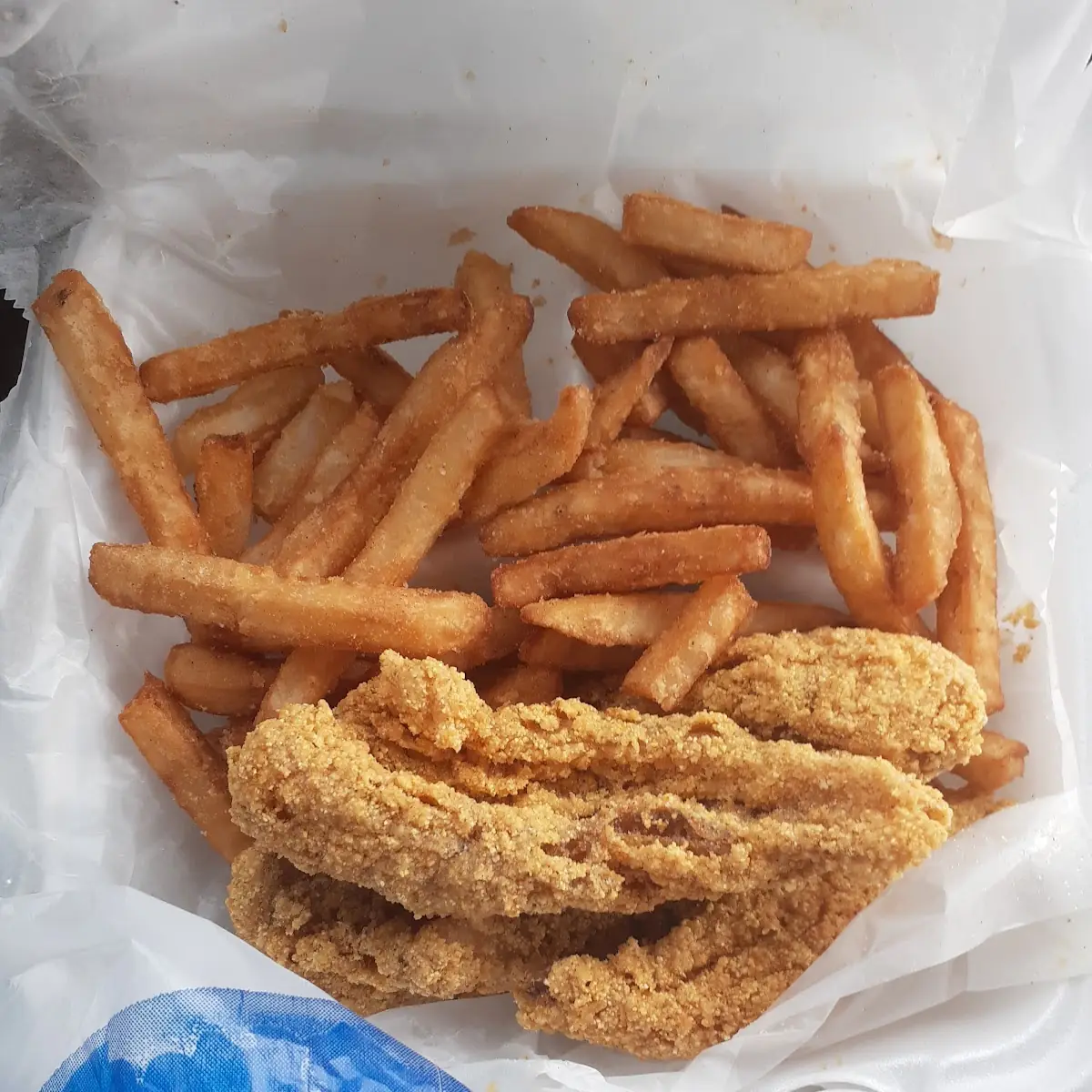 Burnt Fries and 3 Times Cooked Fish
