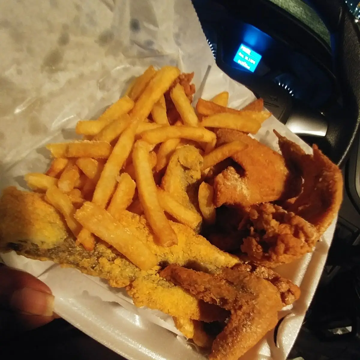 Fried Fish & Chicken Wings