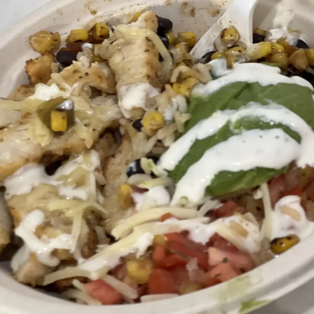 Burrito Bowl