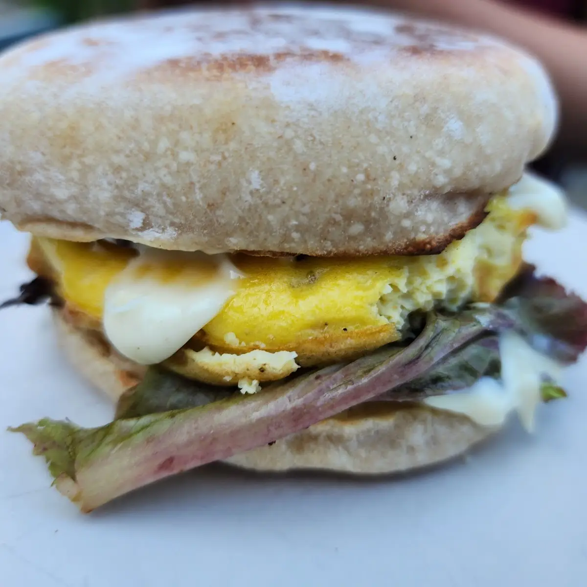 English Muffin