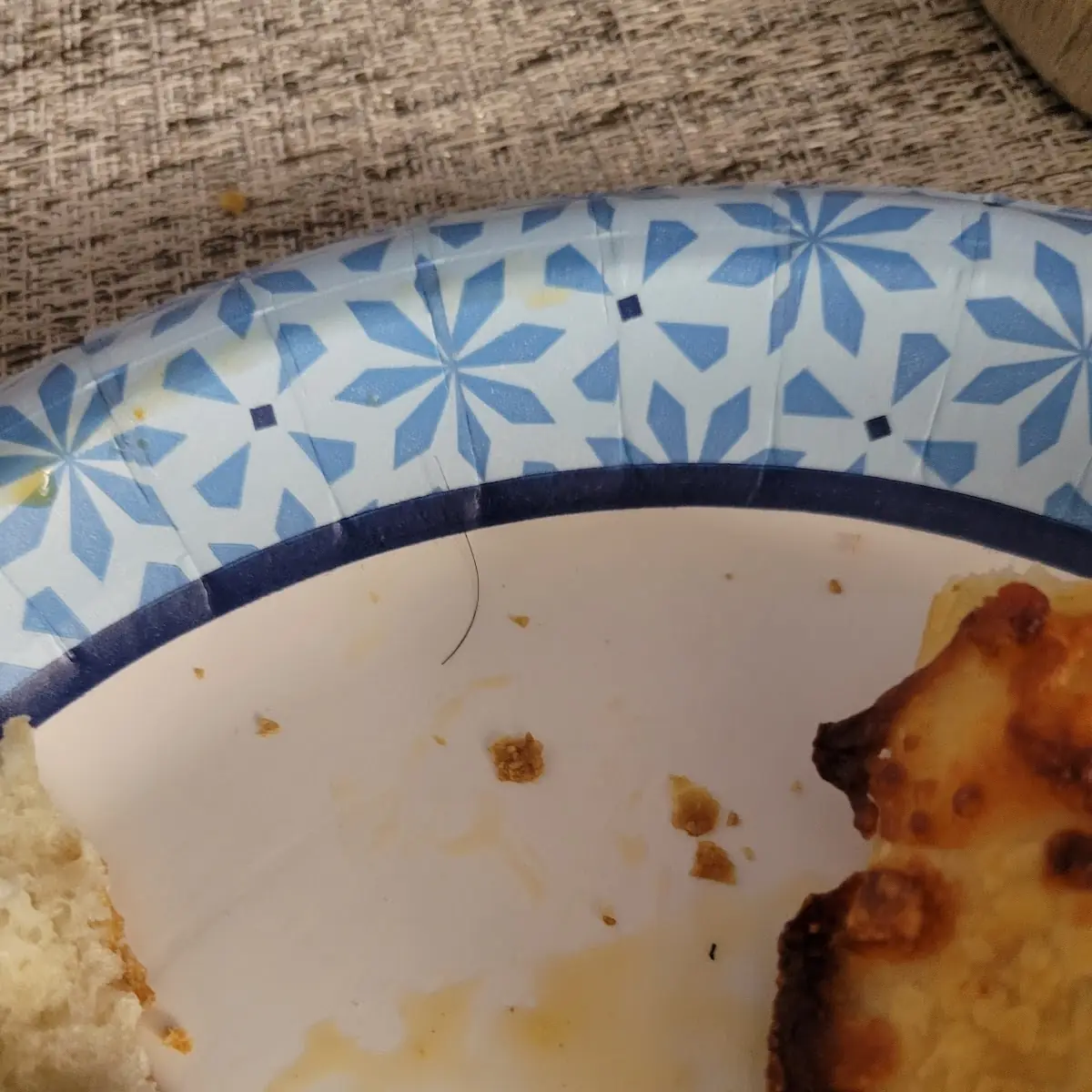 Hair in Our Pizza