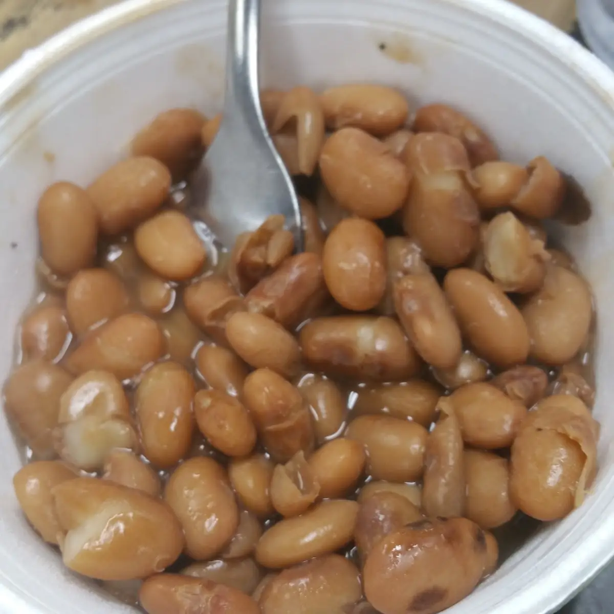 Pinto Beans