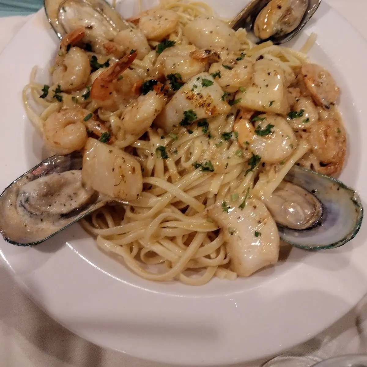Shrimp Alfredo