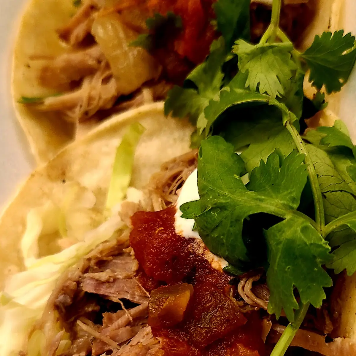 Carnitas Taco Special