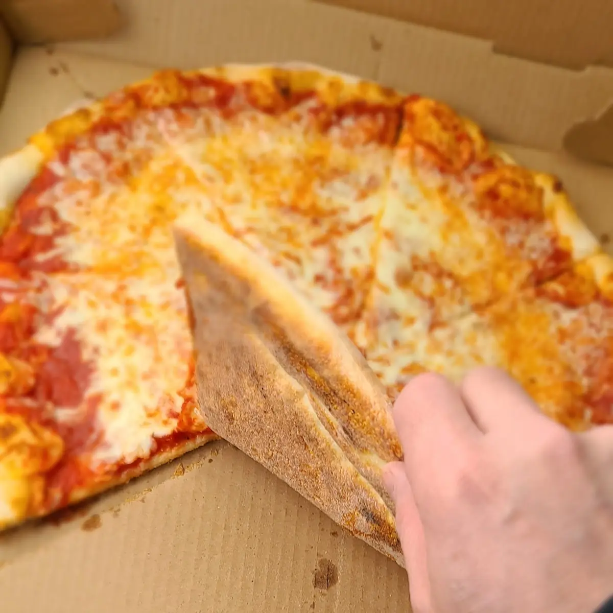 Cheese Pizza