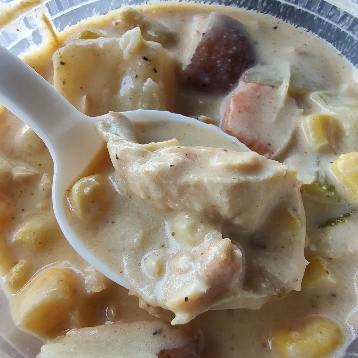 Chicken Noodle Soup