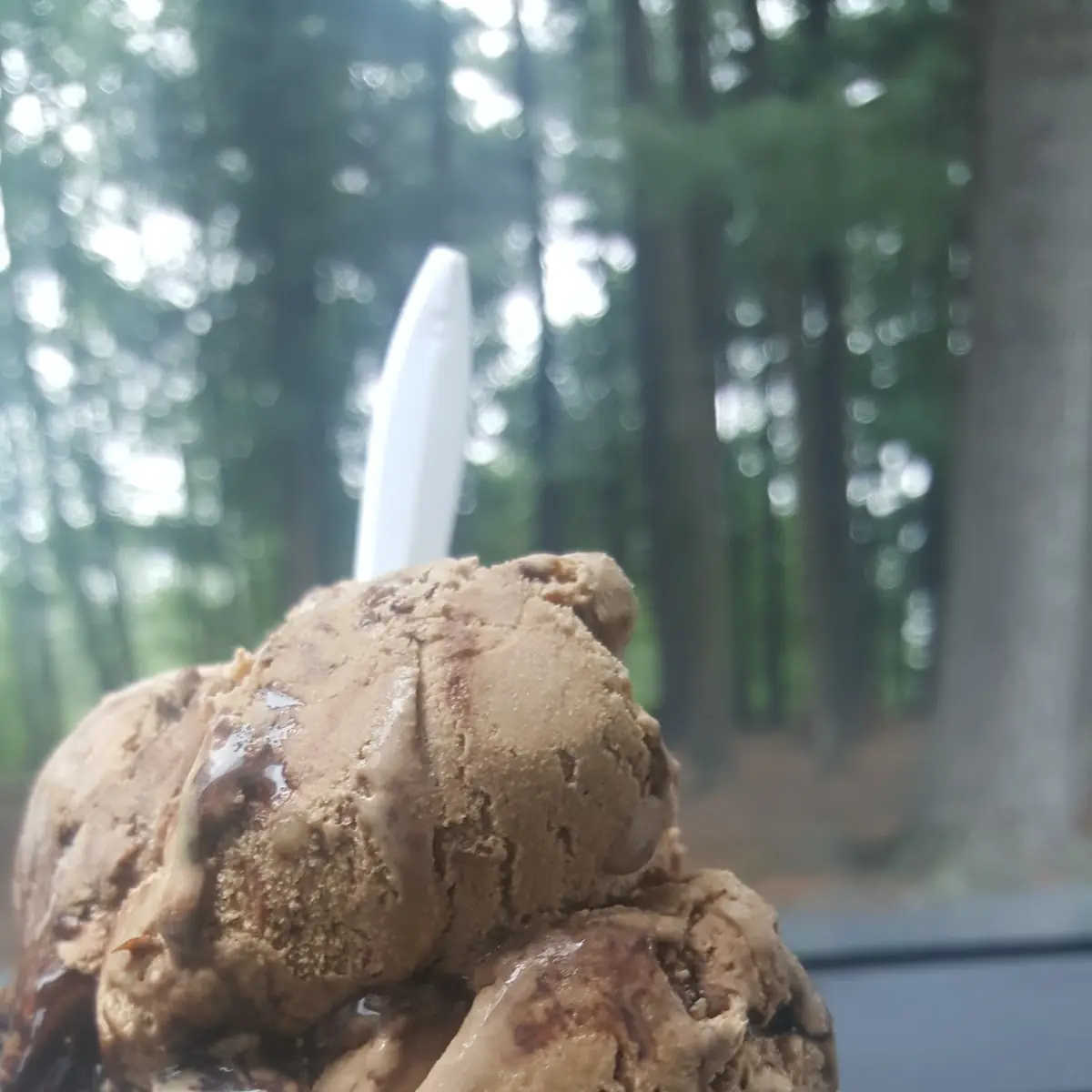 Chocolate Ice Cream