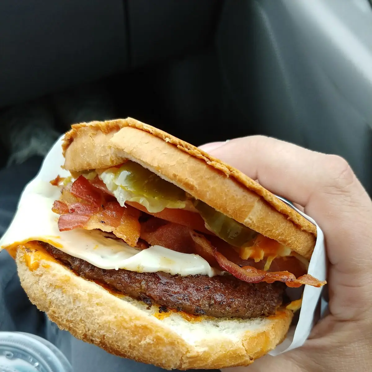 Bacon Swiss