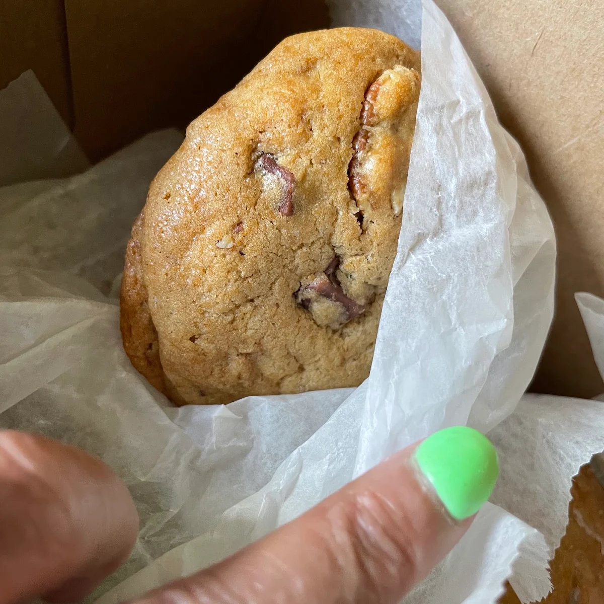 Chocolate Chip Cookie