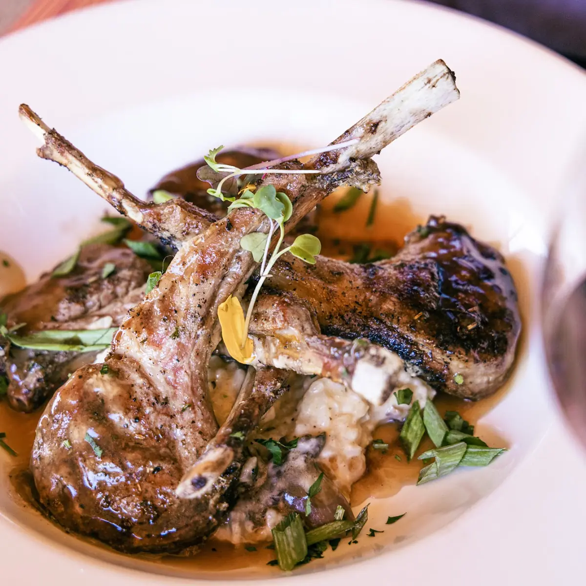 Lamb Chops
