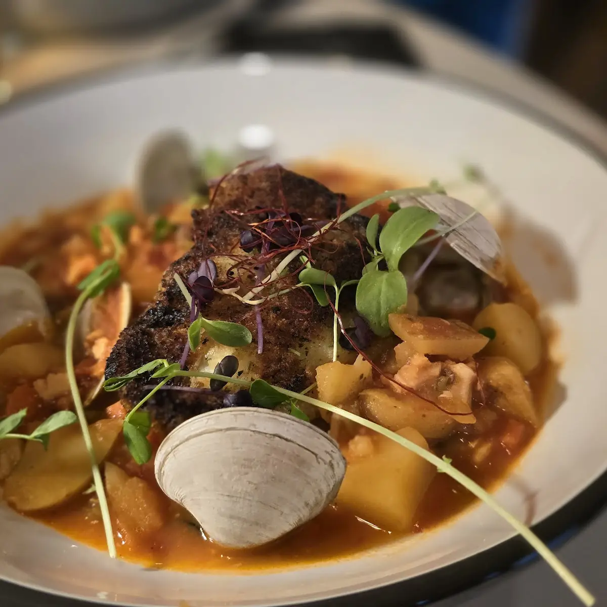 Black Cod