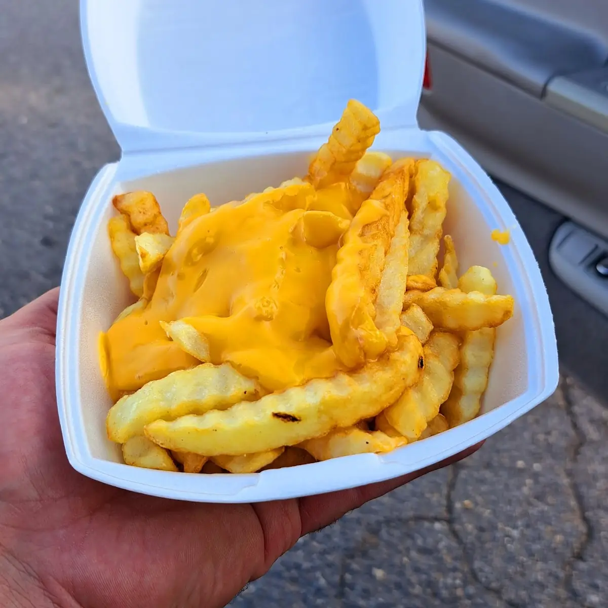 Chili Cheese Fries