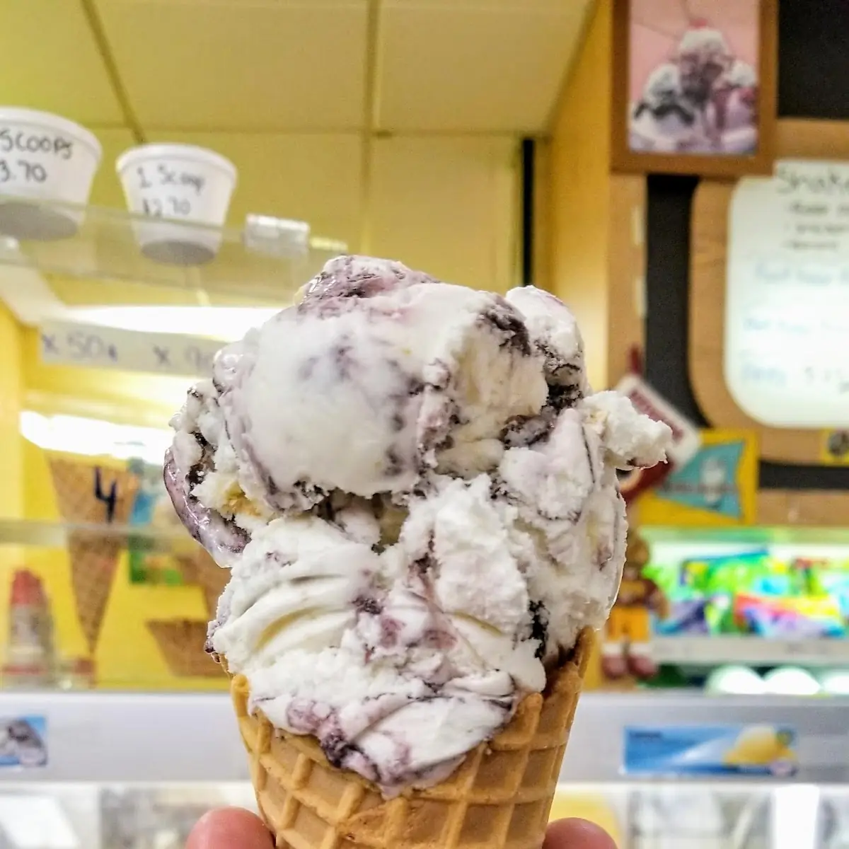 Blueberry Cheesecake