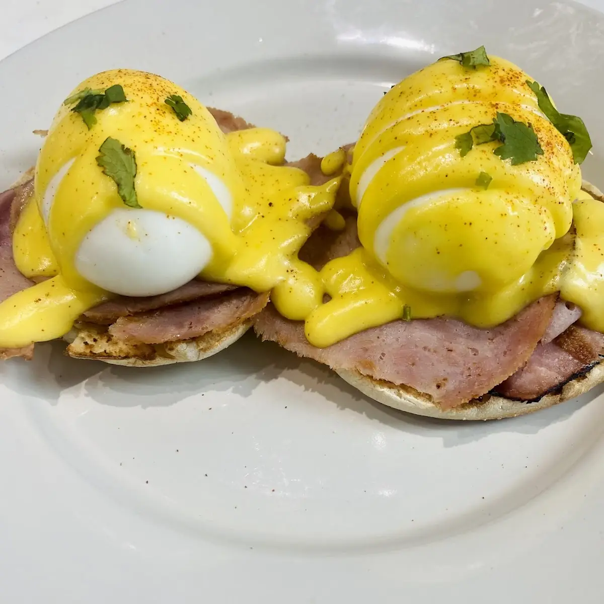 Traditional Eggs Benedict