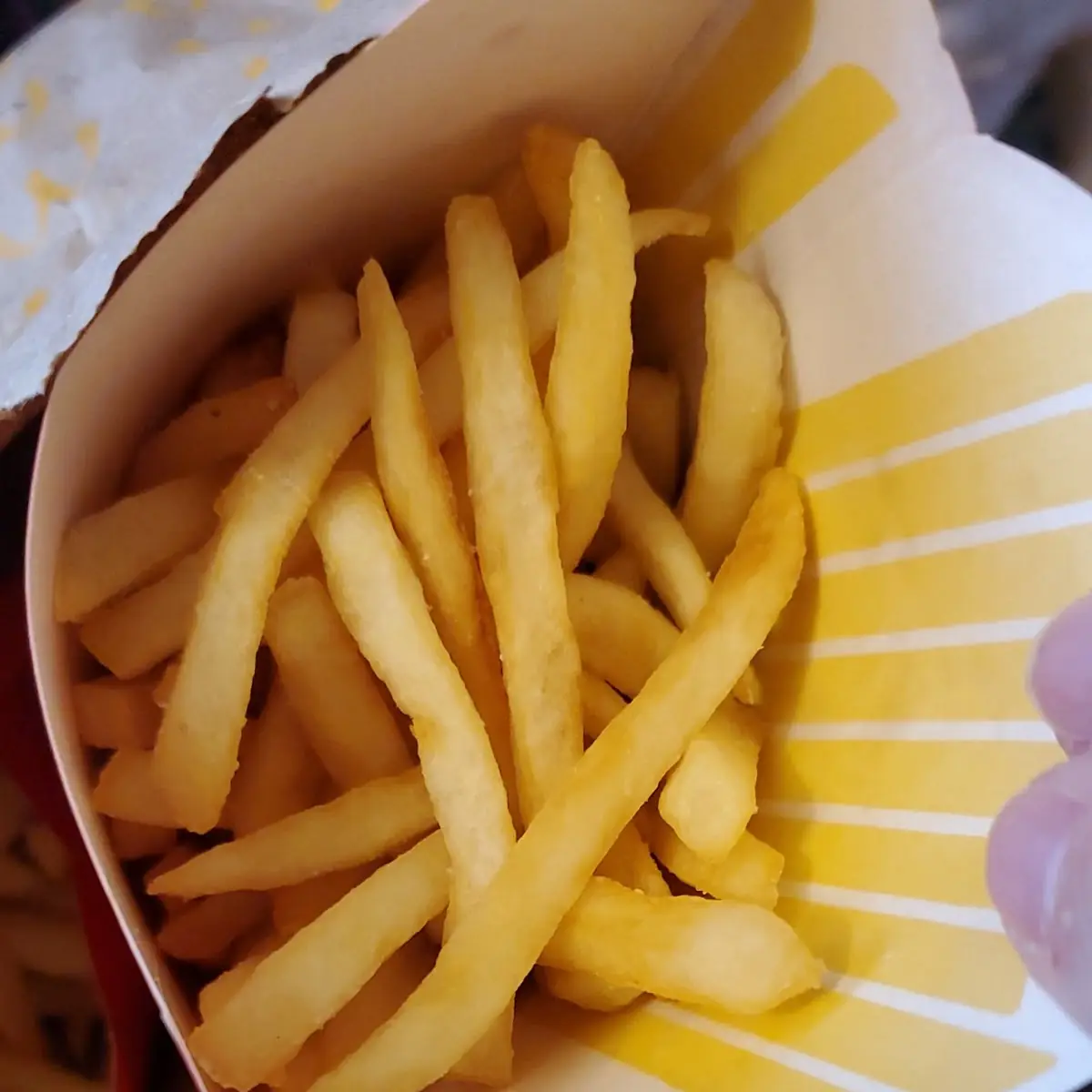 World Famous Fries