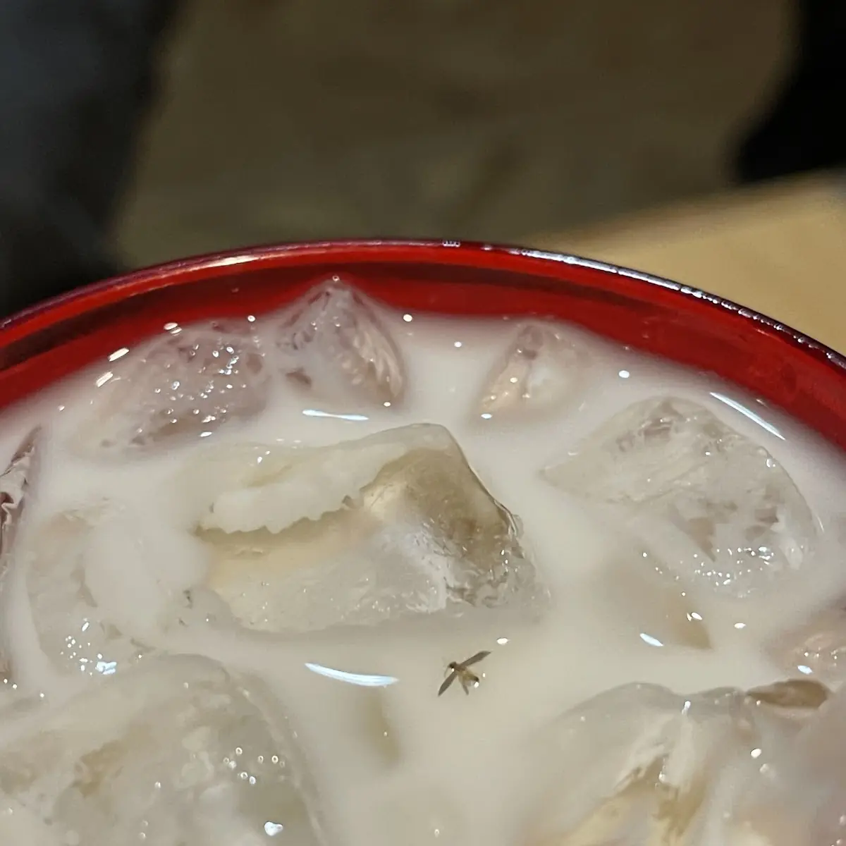 Limonada-Jamaica-Horchata