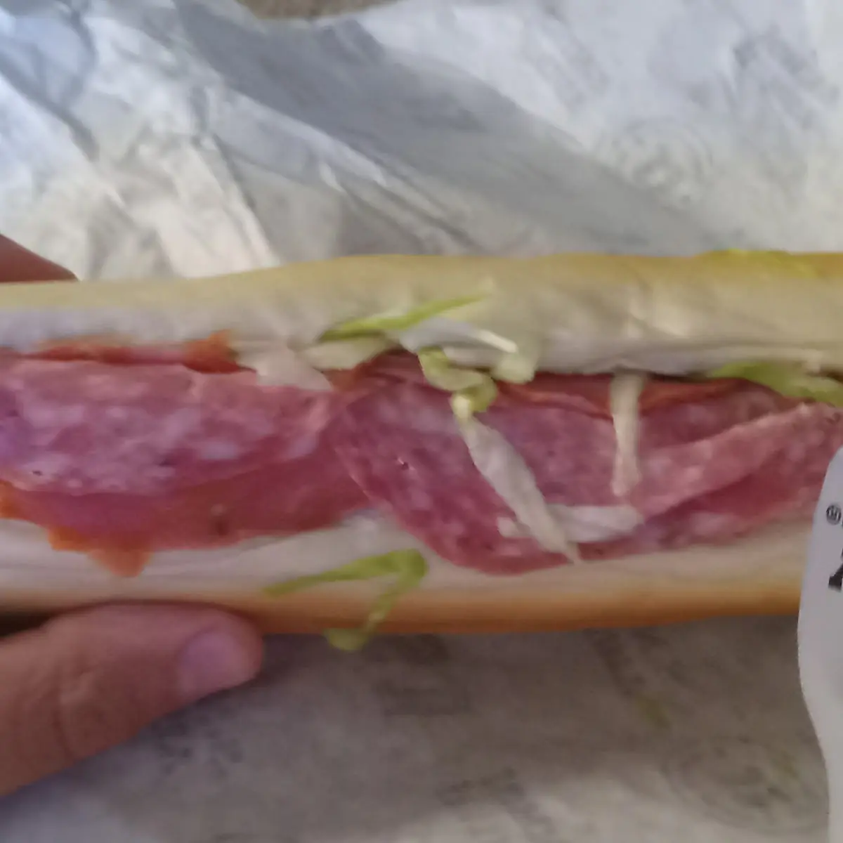 Spicy Pepperoni Sub