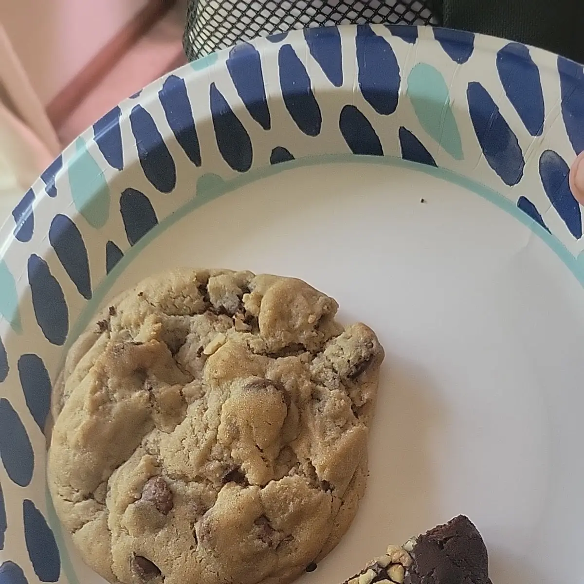 Chocolate Chip Cookie and Walnut Brownie