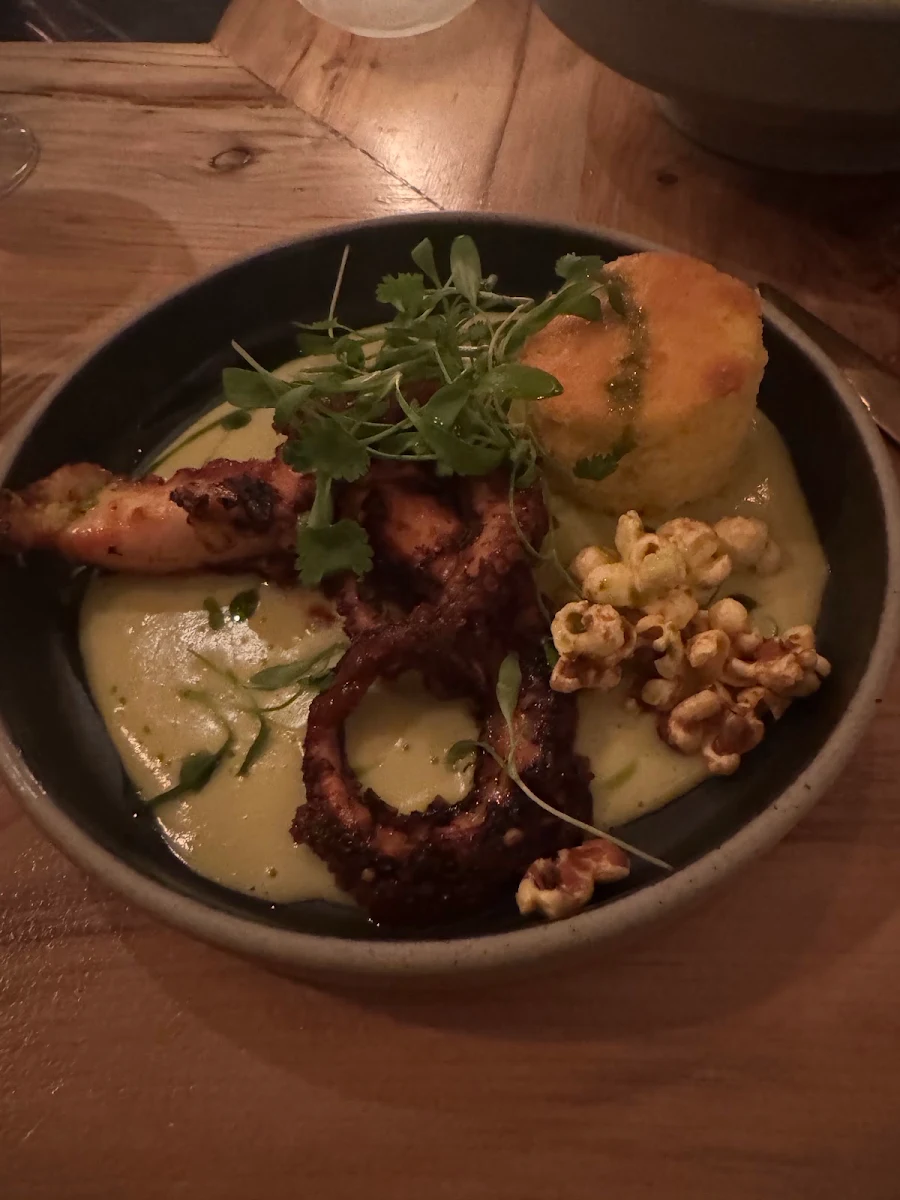 Octopus
