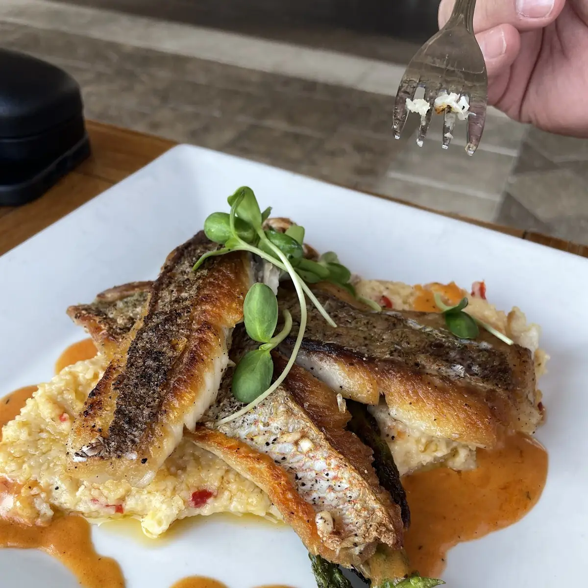Red Snapper