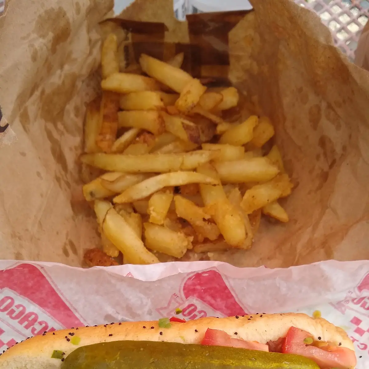 Chicago Style Hot Dog & Fries