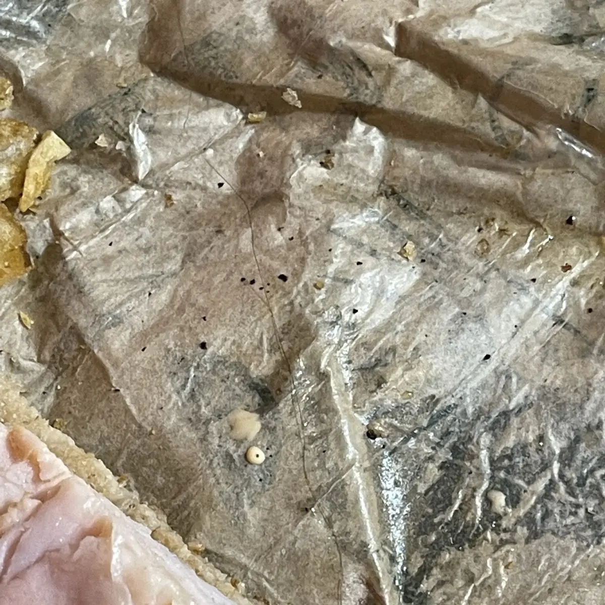 Salted Fish