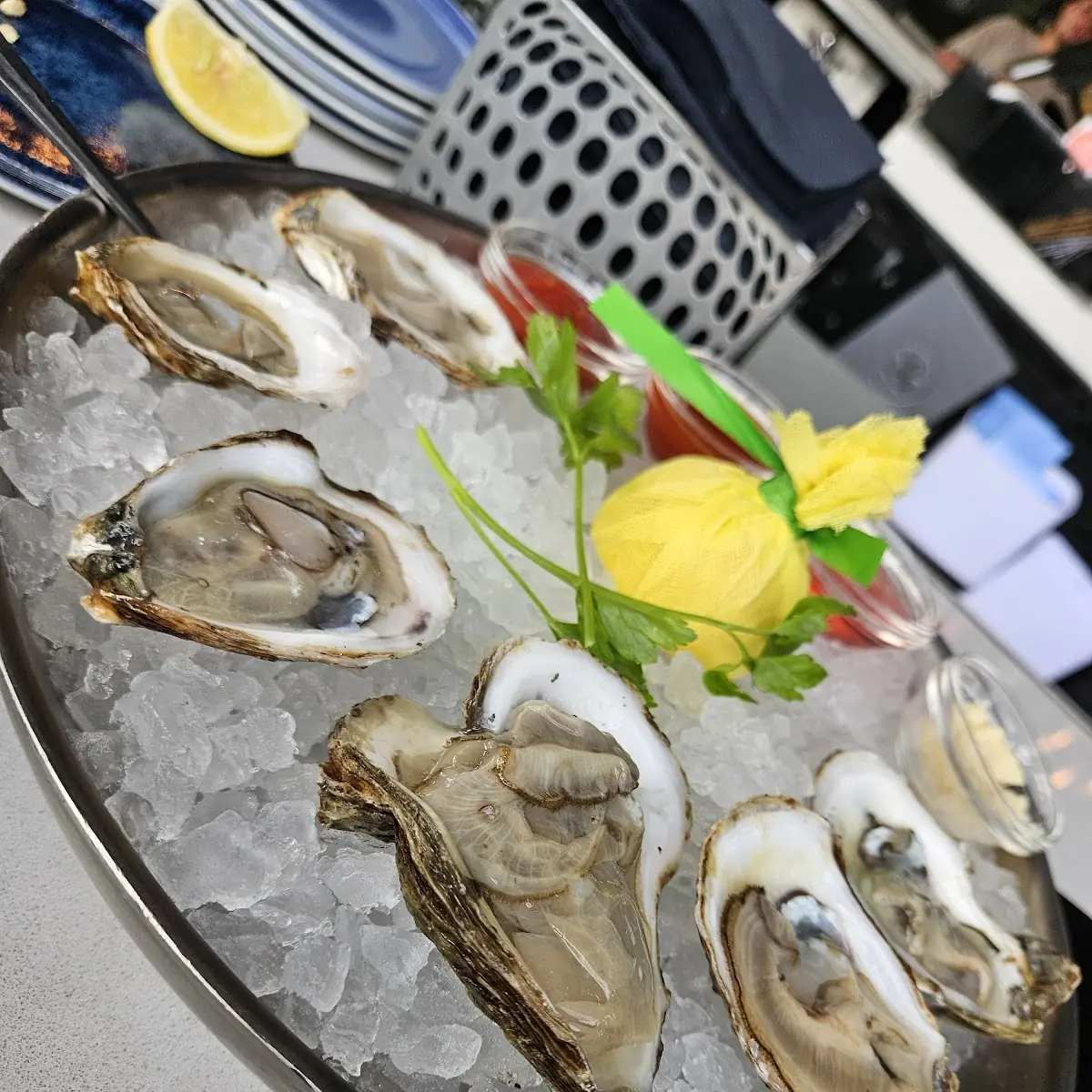 Oysters on the Half Shell
