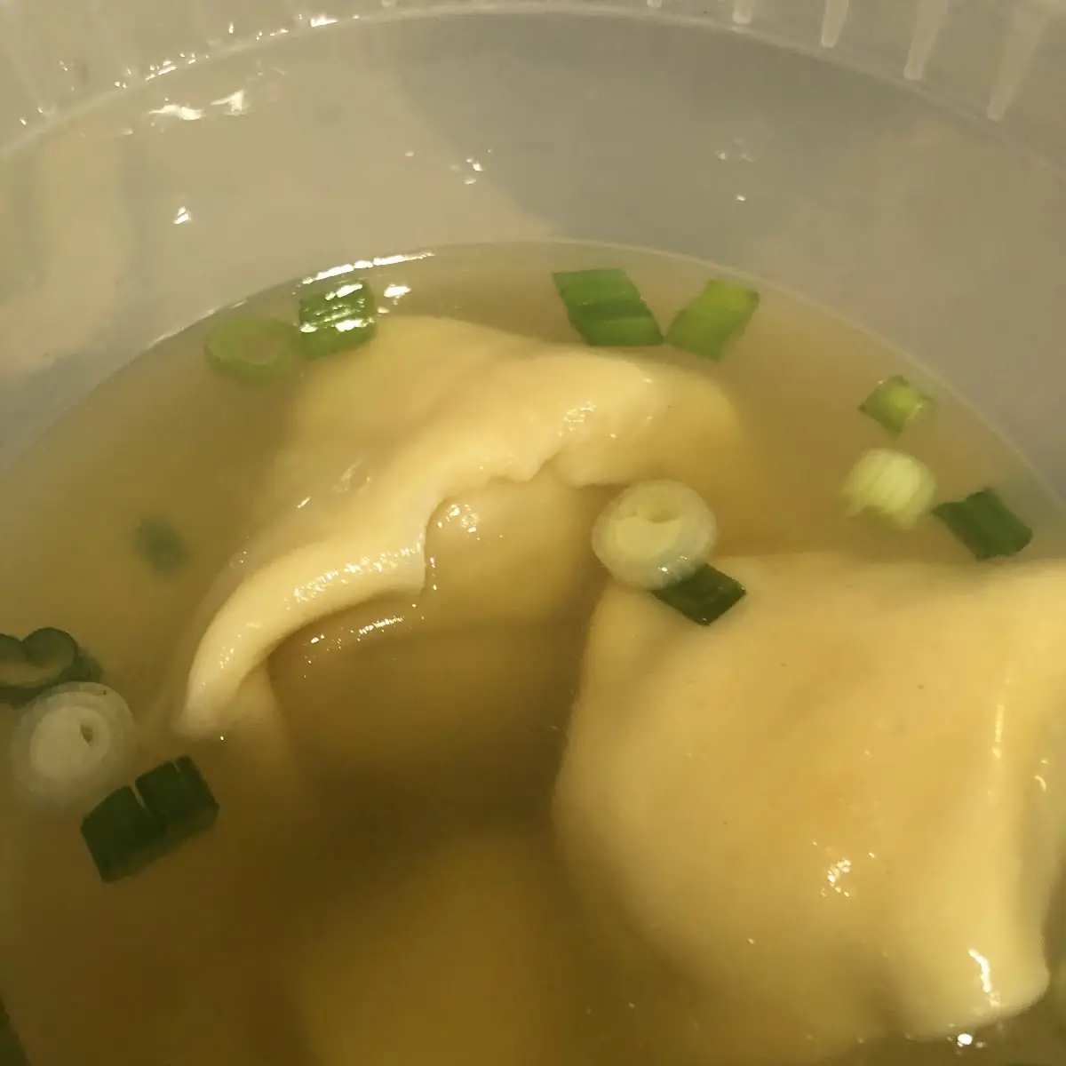 Wonton Soup