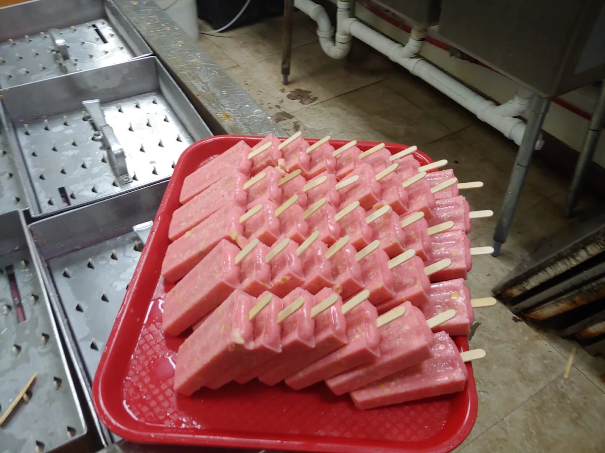 Home Made Paleta
