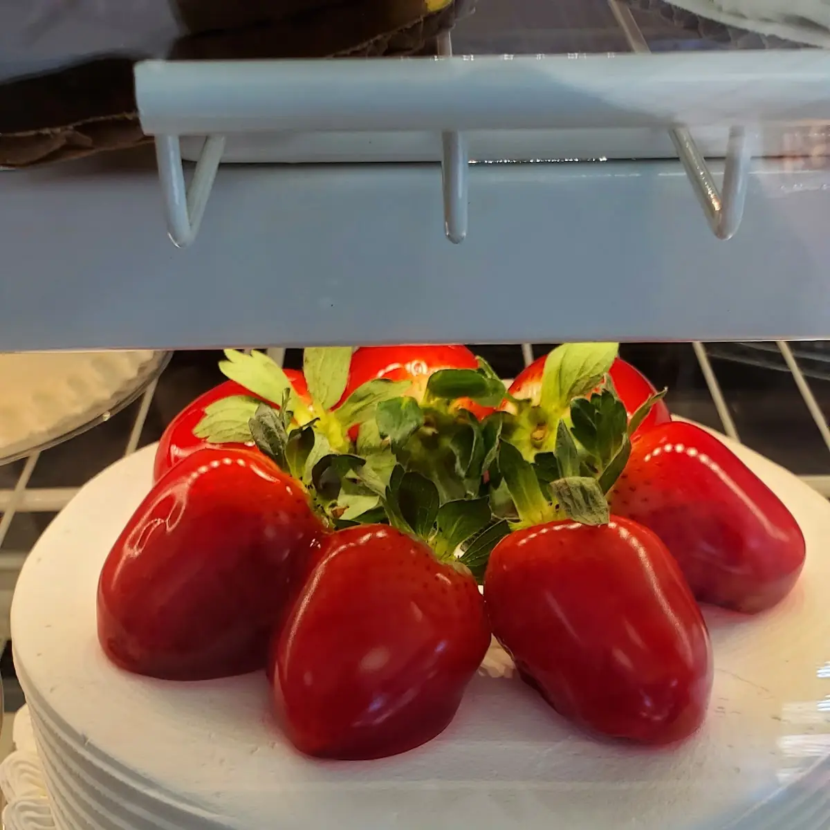 Tres Leches Cake