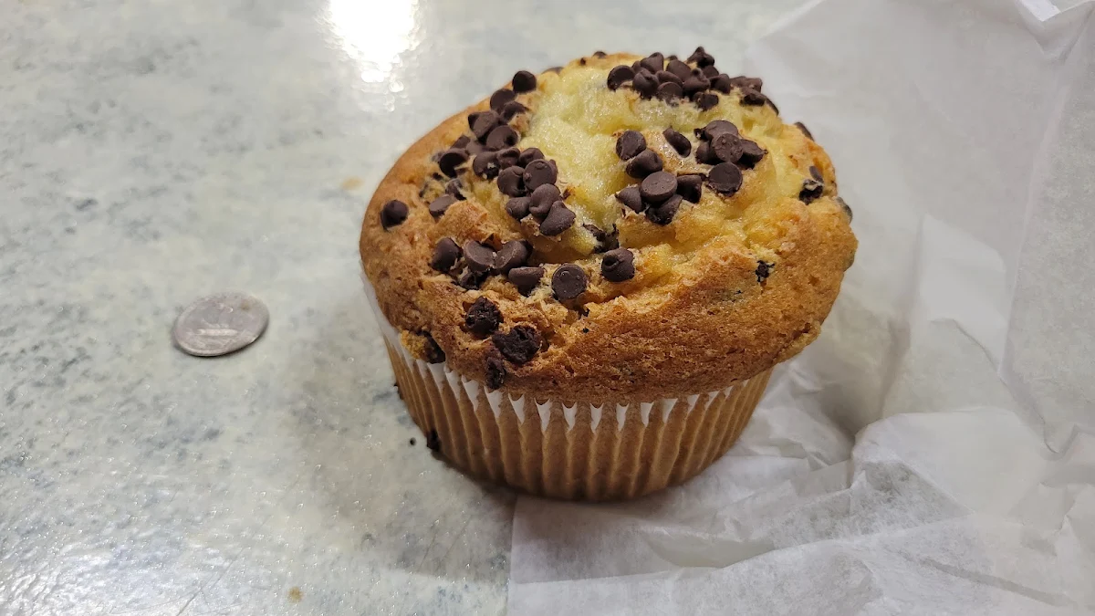 Chocolate Chip
