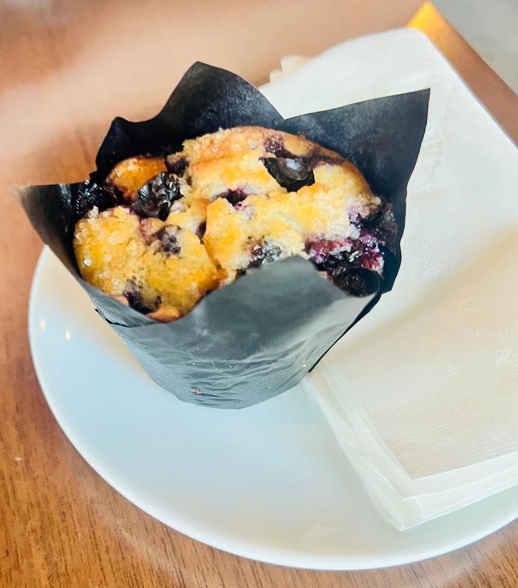 Blueberry Muffin