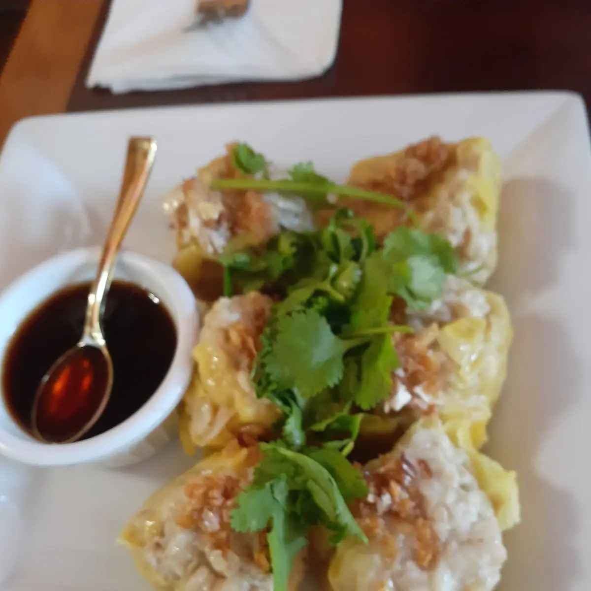 Steamed Dumplings