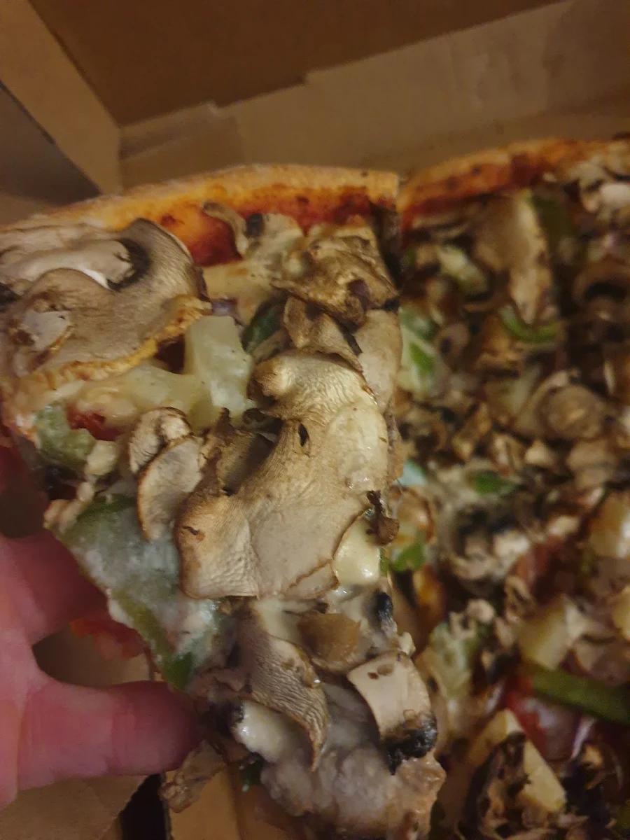 Gourmet Vegan Pizza, Mozzarella Fella Pizzeria