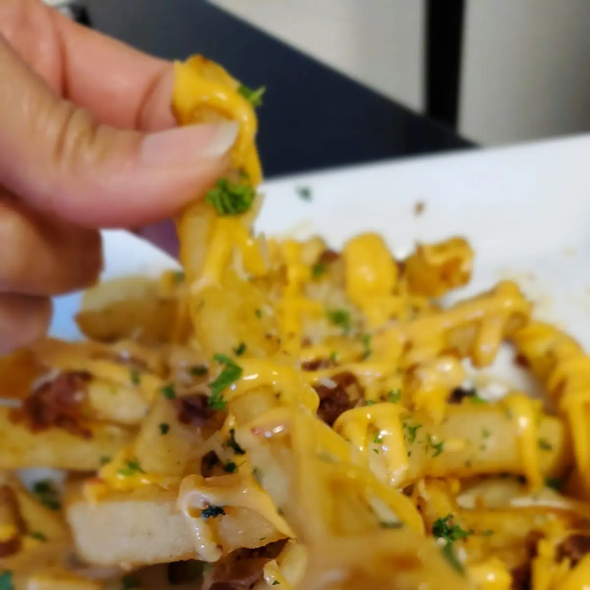 Garlic Parmesan Fries