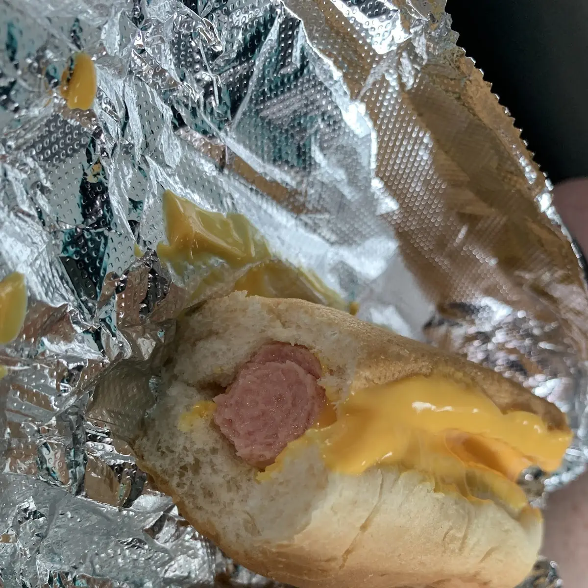 Cheese Dog