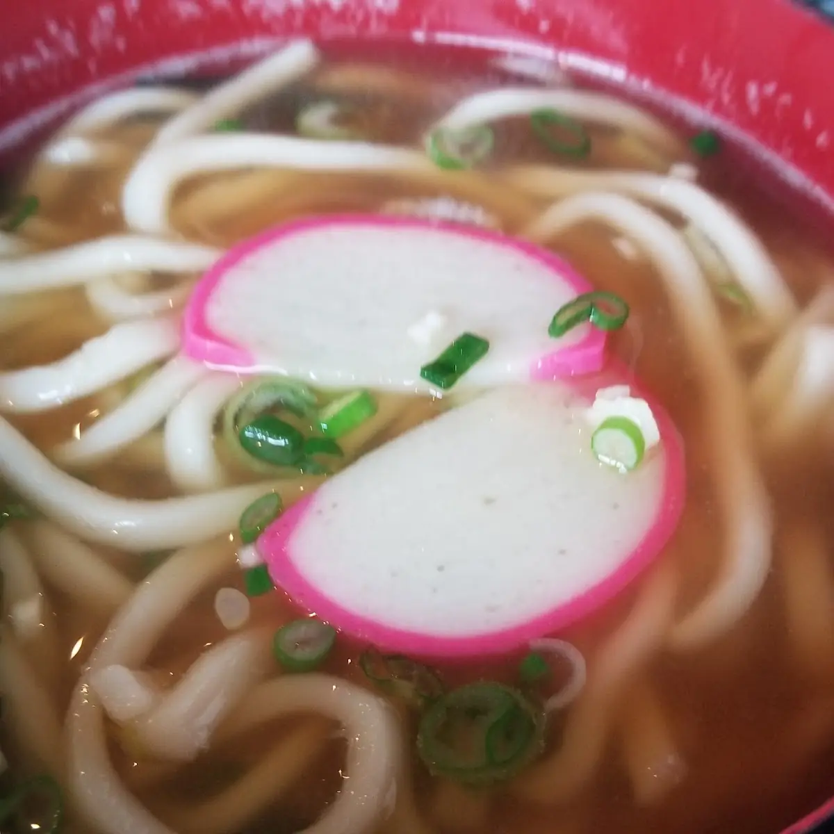 Udon Noodle Soup