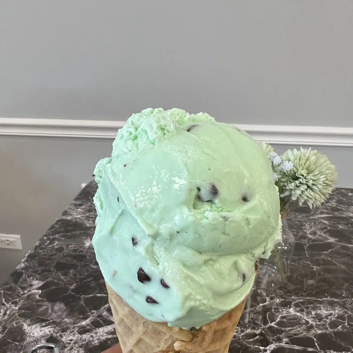 Mint Chocolate Chip Cookies